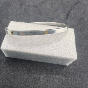 Rare & Vintage TAXCO TA-100 Cartier Love Bracelet - 925 Silver